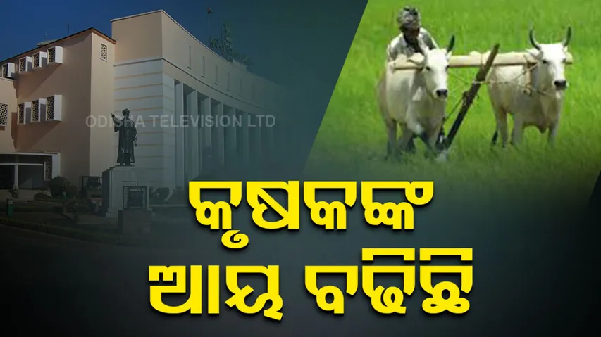 Farmers Income In Odisha 