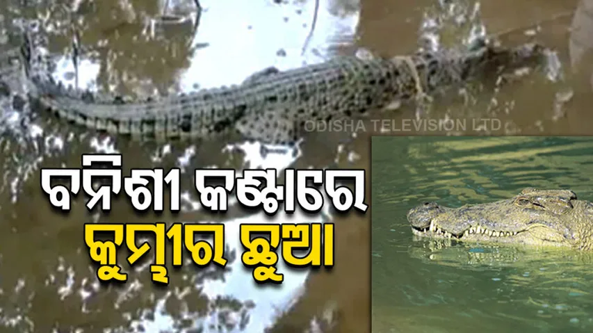 Man Catches Baby Crocodile Instead Of Fish