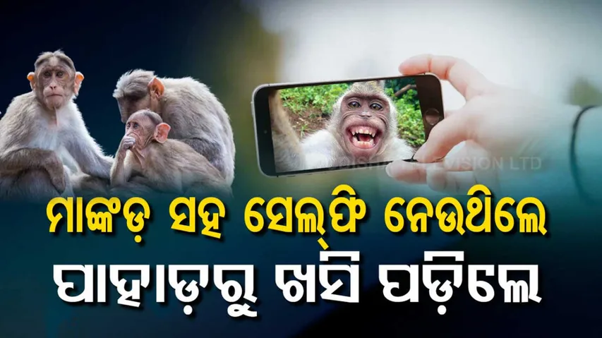 Man Fell From Hill While Taking Selfie With Monkey