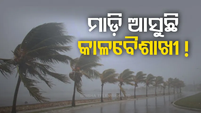 Rain Alert in Odisha Orange Warning For Various Districts 