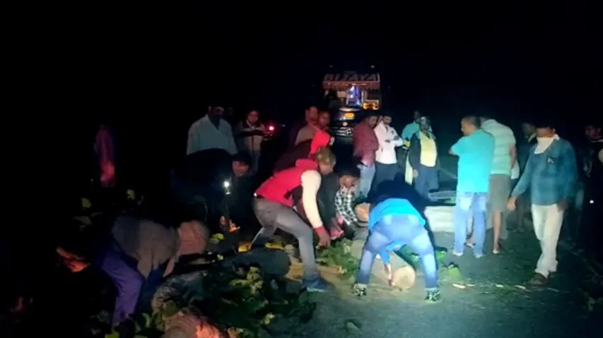 Forest Department Foils Loot Bid