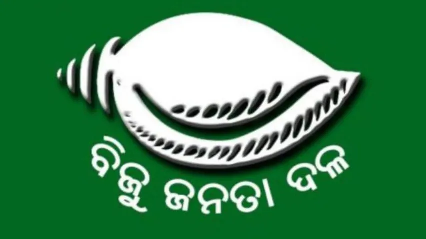 bjd 
