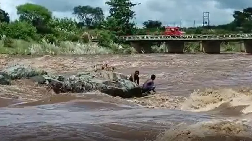 ବନ୍ୟା ଜଳରେ ଭାସି ଯାଉଥିଲେ ଦୁଇ ଯୁବକ, ଆଉ ତା'ପରେ…