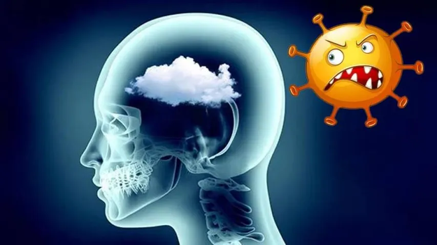 କରୋନାକୁ ନେଇ ନୂଆ ତଥ୍ୟ; ସୁସ୍ଥଙ୍କ ଠାରେ ଦେଖାଯାଉଛି ଏସବୁ ଲକ୍ଷଣ, ମସ୍ତିଷ୍କ ଉପରେ ପଡ଼ୁଛି ଏମିତି ପ୍ରଭାବ