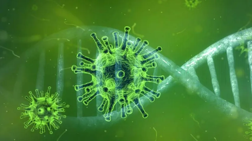 ରାଜ୍ୟରେ ସୁସ୍ଥ ହେଲେ ଆଉ ୩୩୬୩ କରୋନା ଆକ୍ରାନ୍ତ