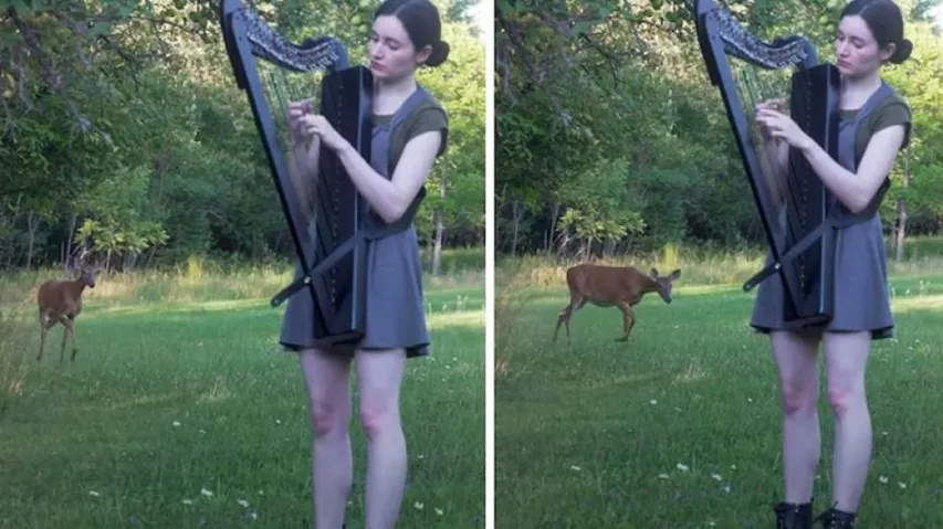 ଝିଅଟି ପାର୍କରେ ବୀଣା ବଜାଉଥିଲେ, କିନ୍ତୁ ହଠାତ୍‌ ତାଙ୍କ ପଛରେ...