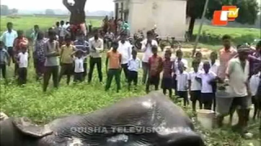 News Fuse 11 September 2015