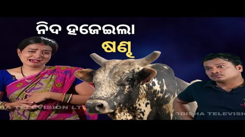 Making News 05 April 2022| Bikala TV| ନିଦ ହଜେଇଲା ଷଣ୍ଢ