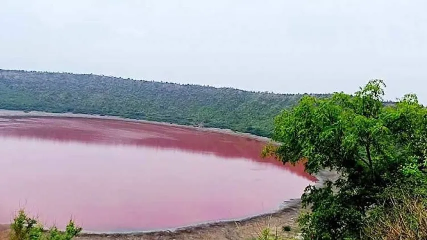 ହ୍ରଦର ପାଣି କାହିଁକି ଗୋଲାପୀ ହେଲା, ଗବେଷଣା କରିବେ ବୈଜ୍ଞାନିକ