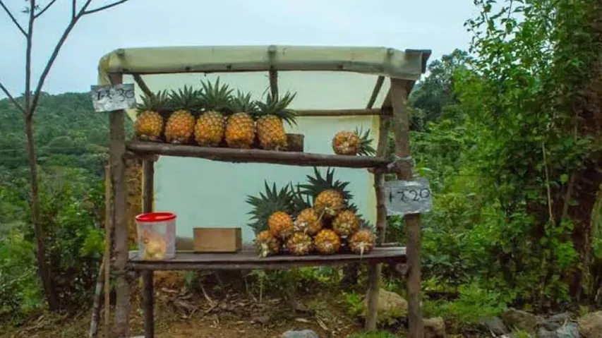 ଏଠି ଦୋକାନ ଅଛି କିନ୍ତୁ ଦୋକାନୀ ନାହିଁ, ଜିନିଷ ନେଇ ଆପେ ଆପେ ରଖନ୍ତି ଟଙ୍କା