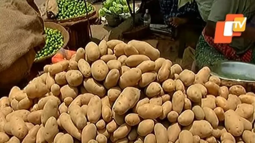 ଆଳୁ କଳାବଜାର ରୋକିବାକୁ ଯୋଗାଣ ବିଭାଗର ଚଢାଉ