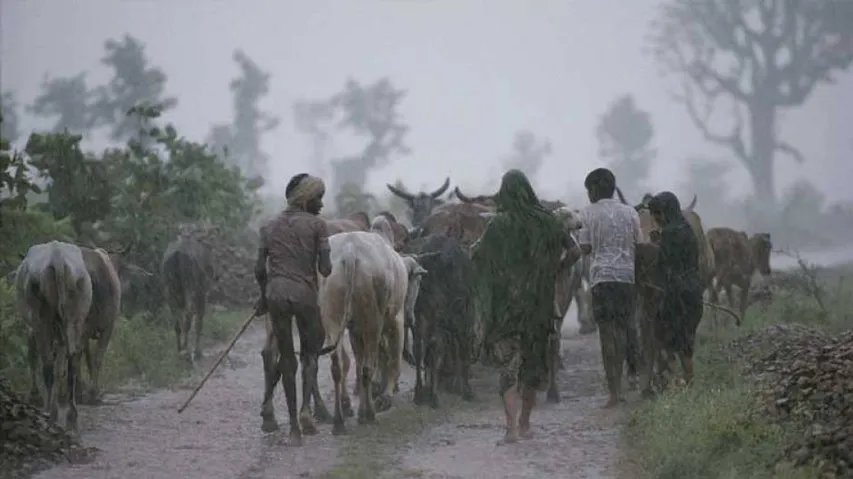 ମୌସୁମୀ ପରଠୁ ଏପର୍ଯ୍ୟନ୍ତ ୭ଟି ଲଘୁଚାପ ହେଲାଣି; କେବଳ ଅଗଷ୍ଟରେ ୫, ତଥାପି ବର୍ଷା କମ୍