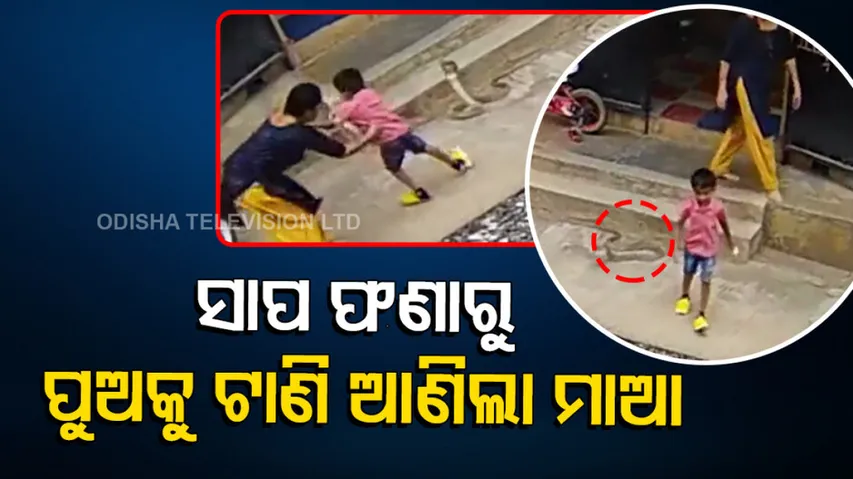 Mother Saves kid from snake bite video goes viral 