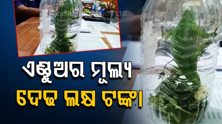 Chameleon trading racket busted in Bhubaneswar 