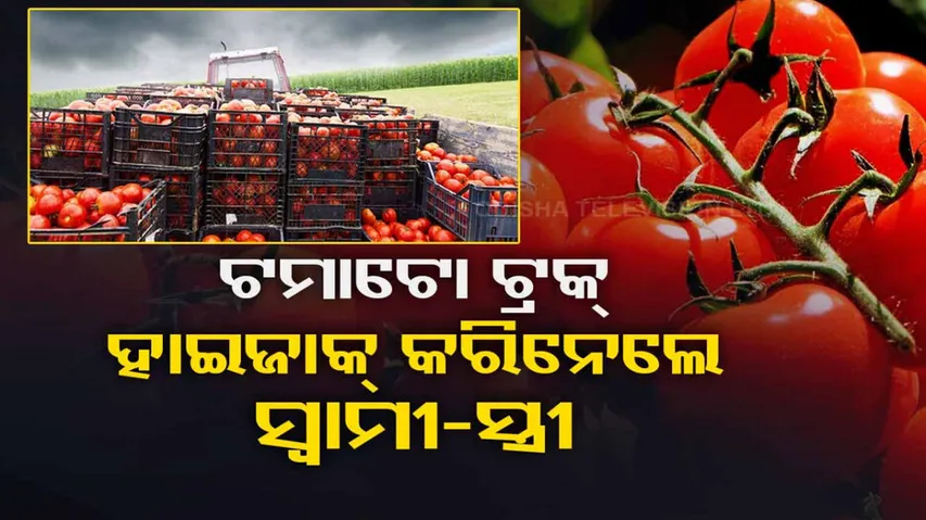 Couple Hijack Truck With 2.5 Tonnes Of Tomatoes