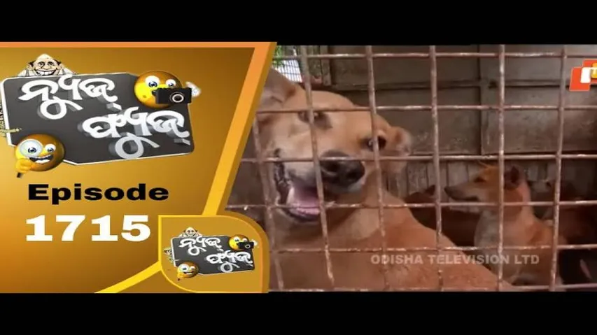 News Fuse 19 Aug 2020 | ଆଶା ଦିଦିଙ୍କୁ କିଏ କଲା ନିରାଶ | ନଦୀ ସେପଟେ କାମ ଅଛି  | ବନ୍ଧା ହେଲେ କୁକୁର ପଲ