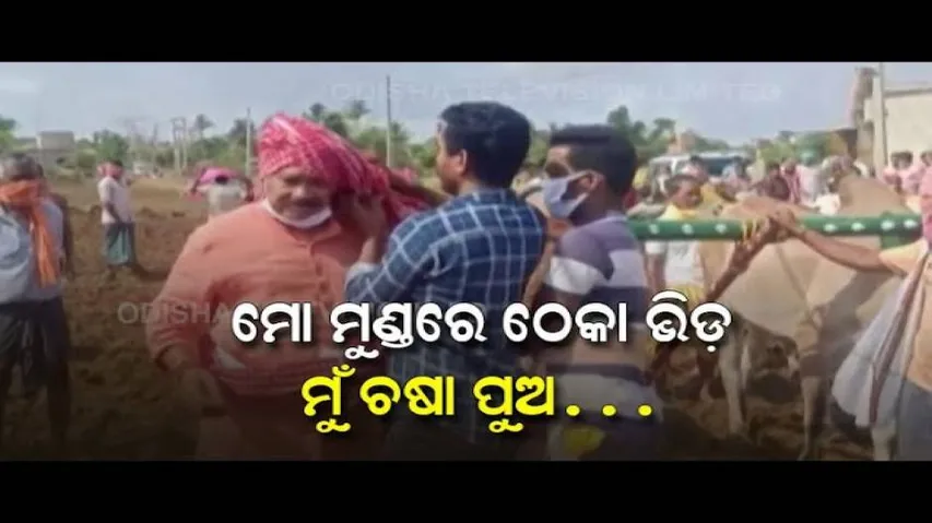 Odisha Politicians Turn \'Farmers\'- News Fuse