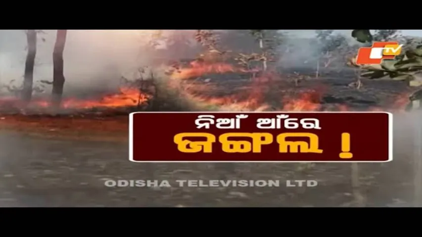 Janamancha 13 March 2021|ନିଆଁ ଆଁରେ ଜଙ୍ଗଲ ! |