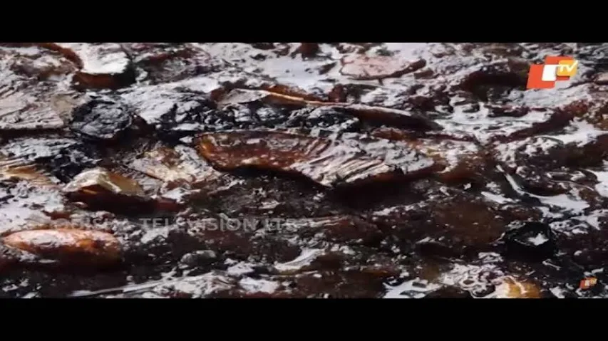 ଆମ୍ବ ପୋଡ଼ ପିଠା | Amba Poda Pitha: How to Make - Odia Food & Recipes