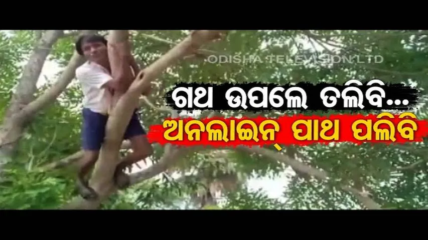 The Great Odisha Political Circus Episode On Issues Related To Online Education