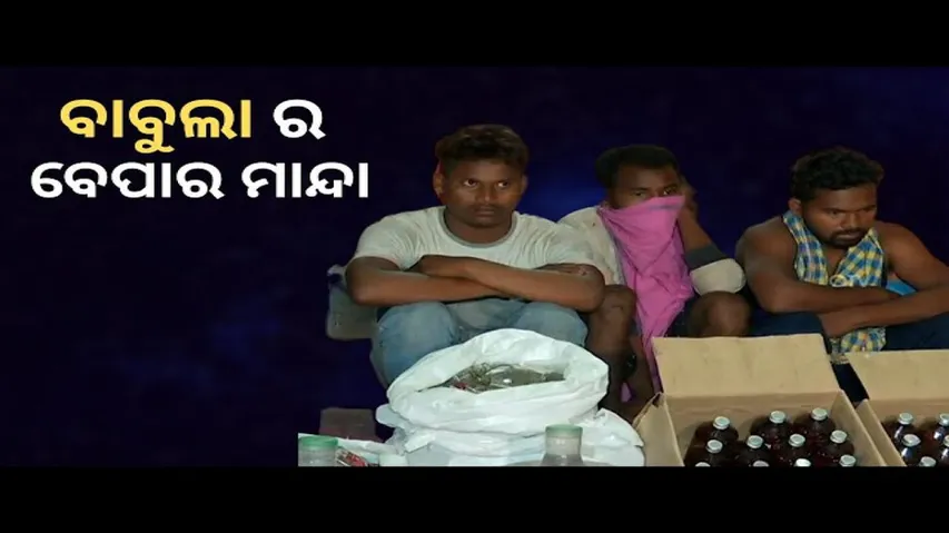 News Fuse 7th March 2022| pigeon rescue| ବାବୁଲା ର ବେପାର ମାନ୍ଦା