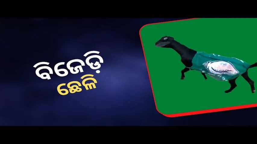 News Fuse 21st March 2022