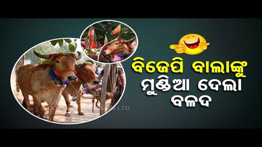 News Fuse | BJP leaders take out rally riding bullock cart