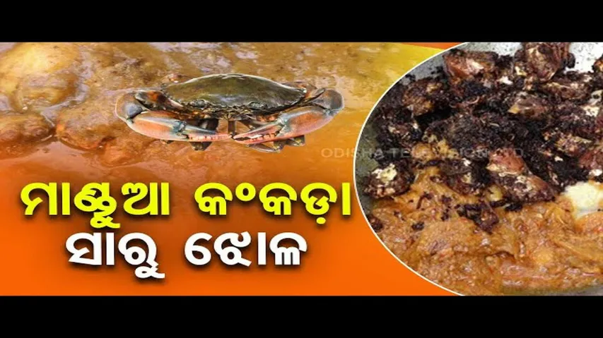 Taste of Odisha |  Know the recipe of saru and mandua kankada jhola