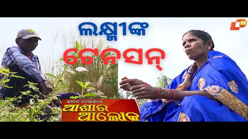 Jibana Do Chhakire Ashara Alok Ep 385, 14 OCT 2023