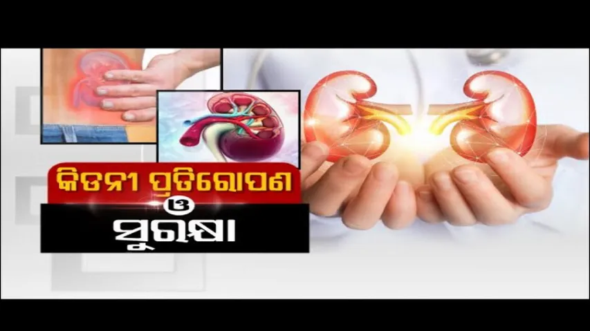 Doctor Doctor | Safety and effectiveness of Kidney Transplantation