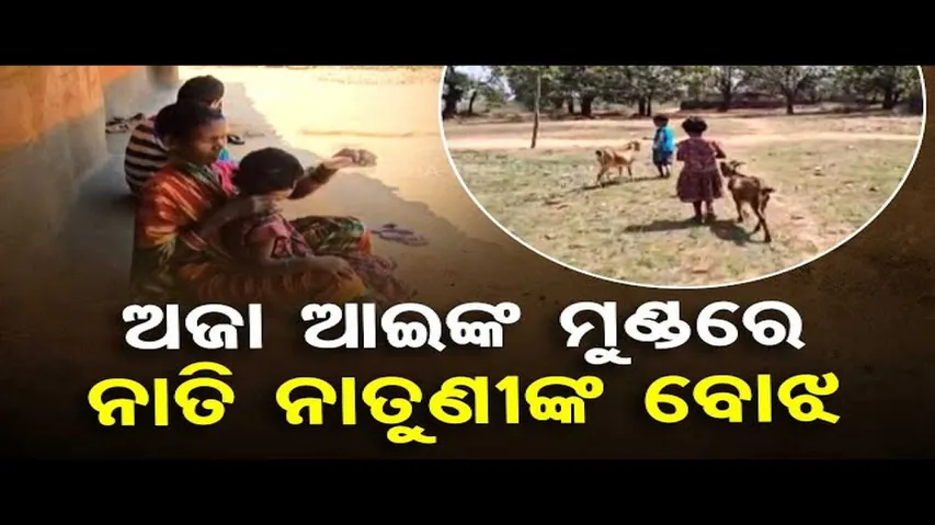 Apana Eka Nuhanti | Elderly couple in Sundargarh urges govt to help grandchildren