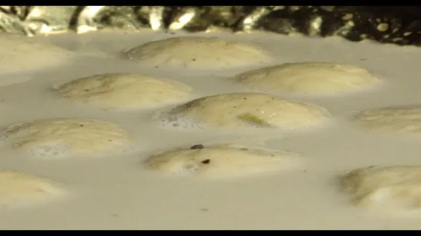 TASTE OF ODISHA EP 404 | 20 JULY 2024 | କ୍ଷୀର ସାଗର