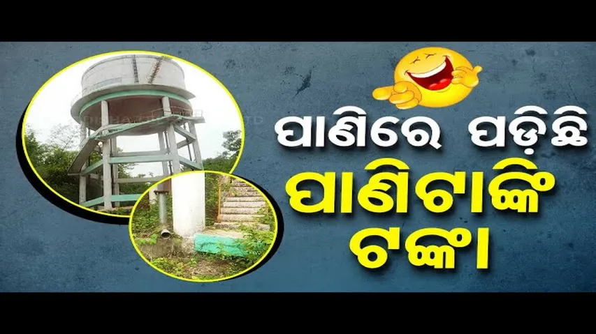 News Fuse: Honey Bees Found Safe Haven in Empty Water Tank