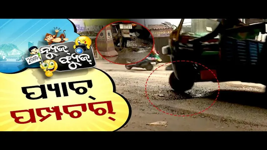 News Fuse 20 AUG 2024 | ଆଳୁ ଦୋଷ କାହାର ? | ପ୍ୟାଚ୍ ପମ୍ପଚର୍ | ଫ୍ୟୁଜ୍ Views