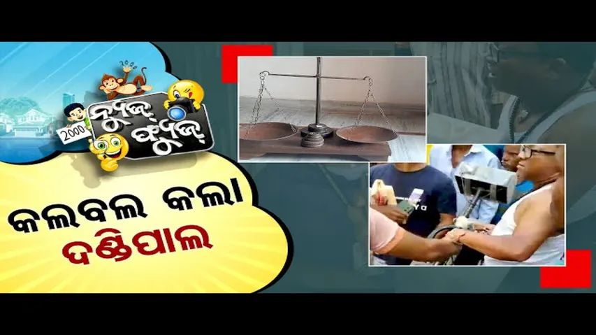 News Fuse 01 November 2024