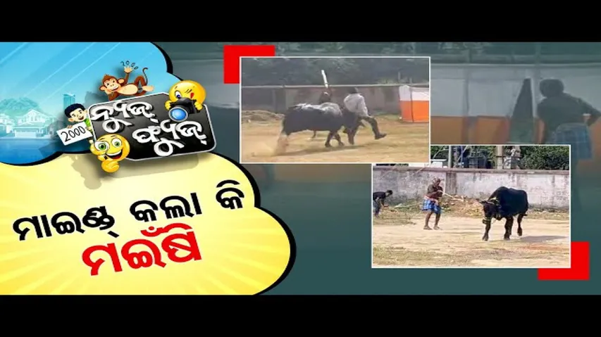 News Fuse 09 DEC 2024