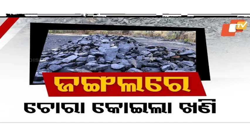 Illegal Coal Mine Busted in Reserved Forest; Business Tycoon’s Son Under Scanner | Sundargarh