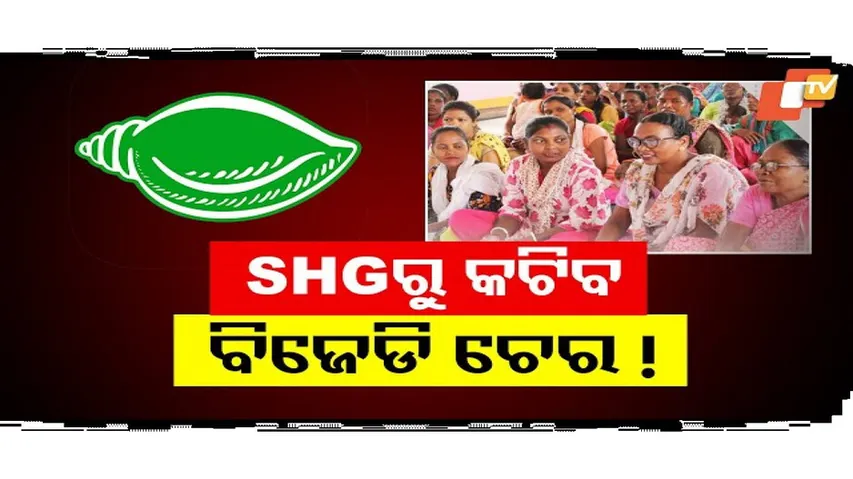 BJD Influence to Be Rooted Out from Odisha SHGs, Restructuring to Be Done on State, District Levels