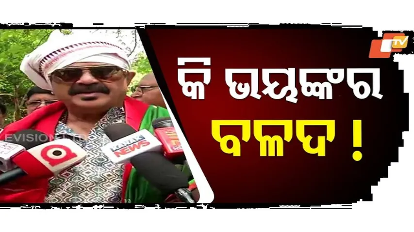 ଭୟଙ୍କର ବଳଦ ଅଛନ୍ତି