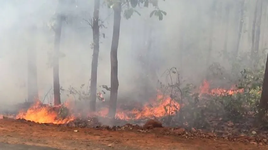 ତିନି ଦିନ ହେଲା ଜଳୁଛି ଶିମିଳିପାଳ