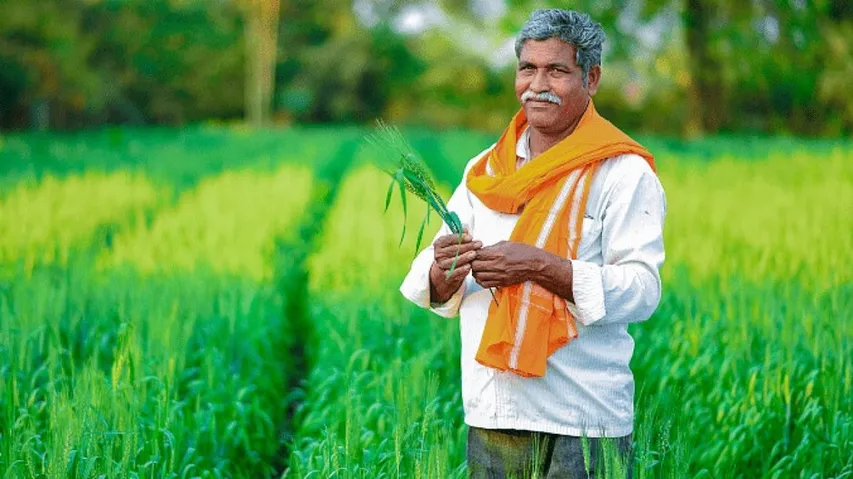 Farmer Incomes In Odisha 