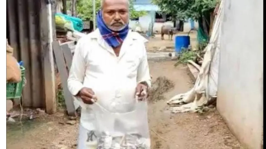 ଦୁଇ ଲକ୍ଷ ଟଙ୍କାର ବିଡ଼ା ବିଡ଼ା ନୋଟ୍ କାଟିଦେଲା ମୂଷା : ପେଟ ଅପେରସନ୍ ପାଇଁ ଜମା କରିଥିଲେ ଗରିବ ଚାଷୀ