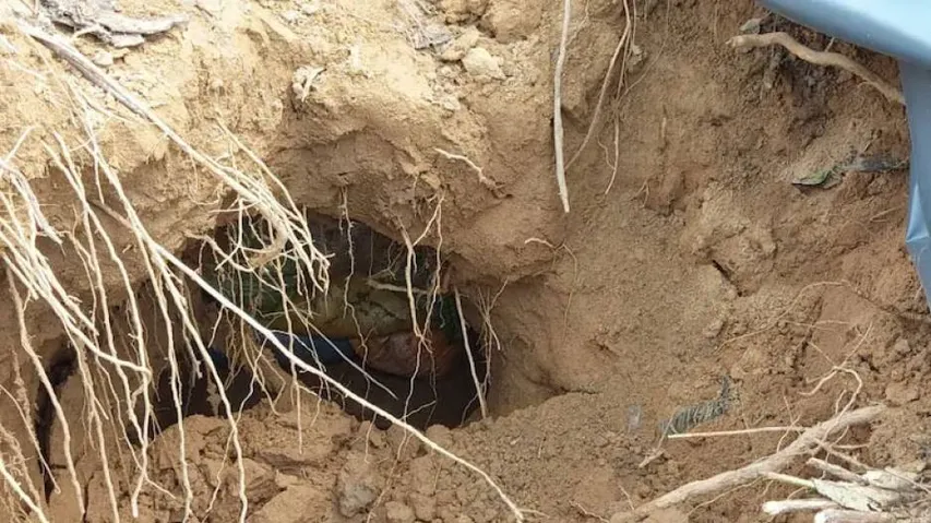 ସୀମାରେ ସୁଡ଼ଙ୍ଗ ଠାବ କଲା ସେନା