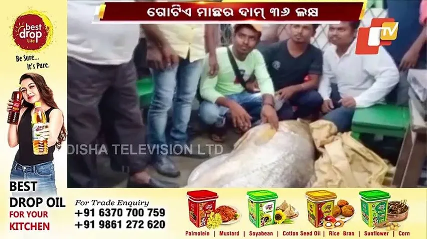 ମାଛର ଦାମ ଶୁଣିଲେ ହୋଇଯିବେ ଆବା କାବା