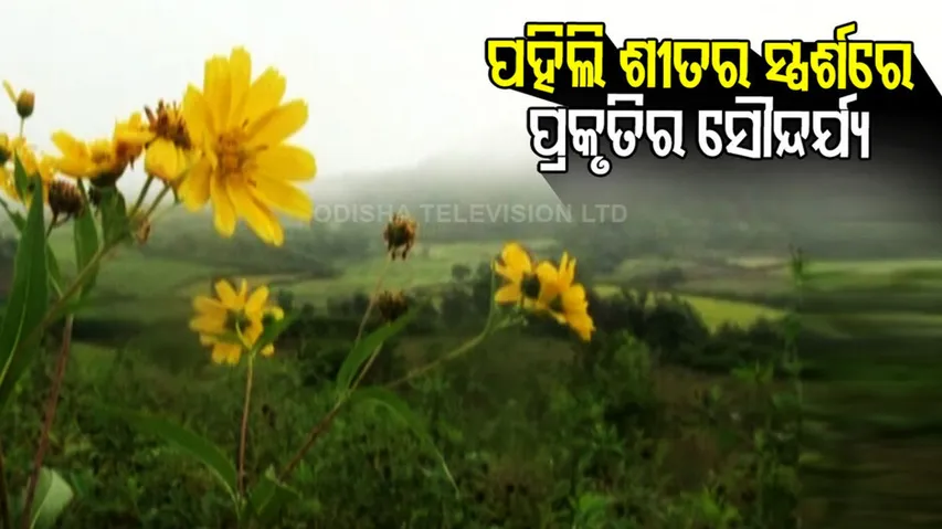 କୋରାପୁଟକୁ ଛୁଟୁଛି ପର୍ଯ୍ୟଟକଙ୍କ ସୁଅ