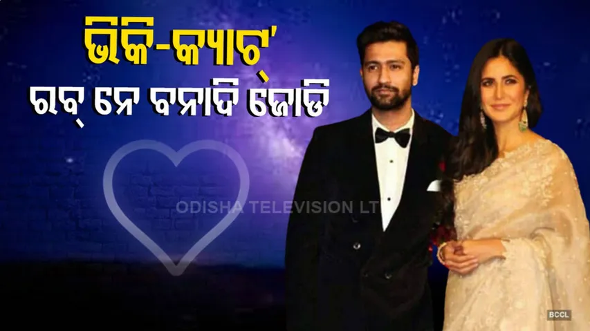 ୭୦୦ ବର୍ଷ ପୁରୁଣା ରୋୟାଲ୍ ଦୁର୍ଗରେ ଯୋଡିହେବେ ବିକି-କ୍ୟାଟ୍