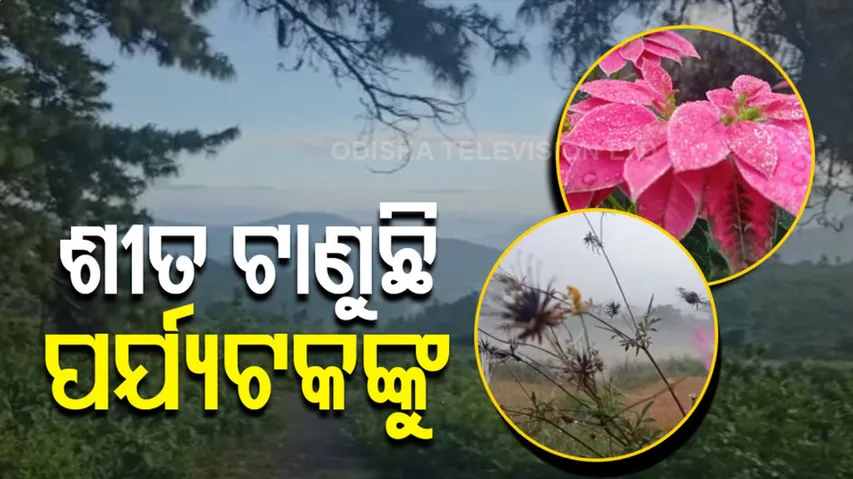 ବଢୁଛି ଶୀତ...କାକରରେ ସଜେଇ ହେଲାଣି ଧରା ....