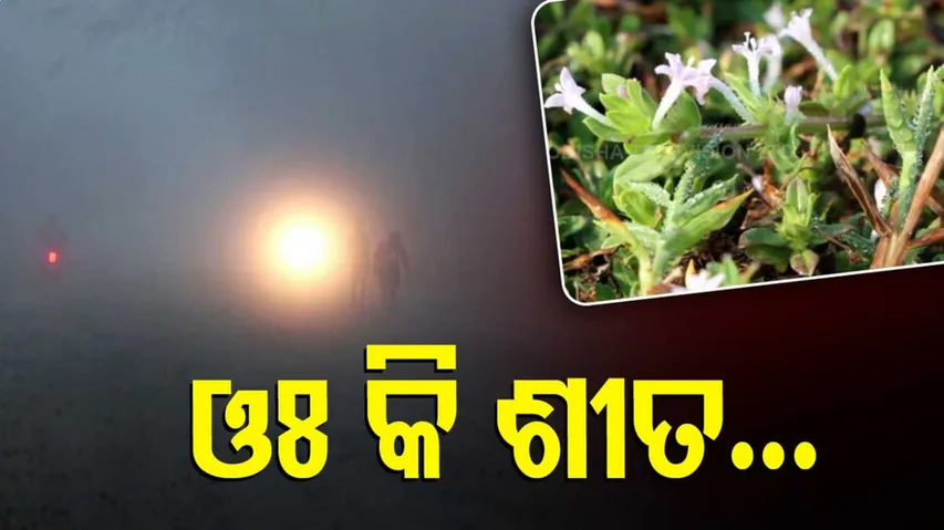 ସୁବର୍ଣ୍ଣପୁର ଜିଲ୍ଲାରେ ପହଞ୍ଚିଛି ହାଡଭଙ୍ଗା ଶୀତ