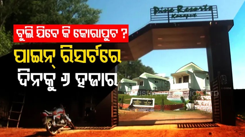 ପର୍ଯ୍ୟଟକଙ୍କ ମନ ମୋହୁଛି କୋରାପୁଟର ପାଇନ ରିସର୍ଟ