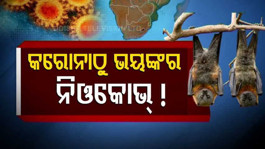 ଓମିକ୍ରନ ପରେ ଚର୍ଚ୍ଚାରେ ନିଓକୋଭ୍ !